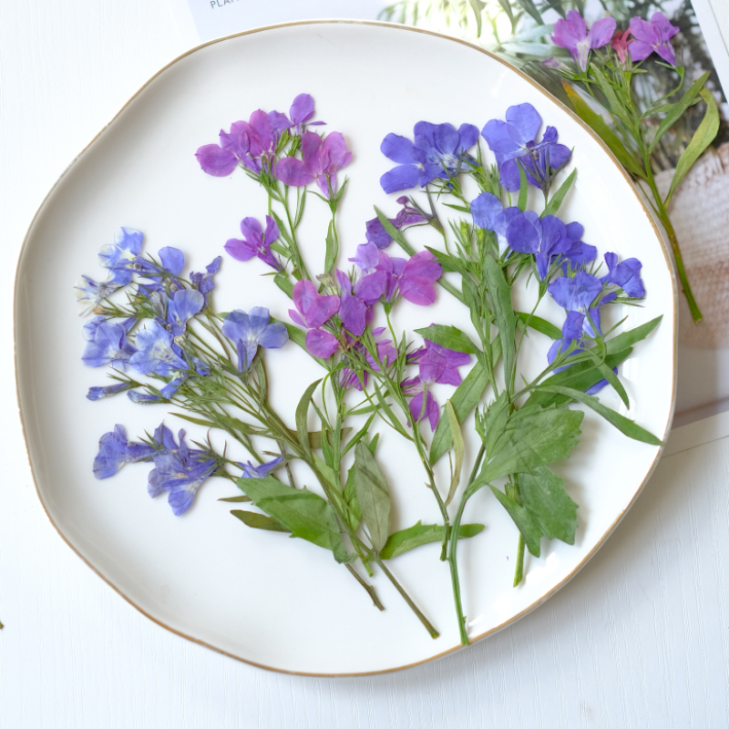 Resin Art Bookmark - 6 Stück/8–13 cm, natürliche Lobelia Erinus,
